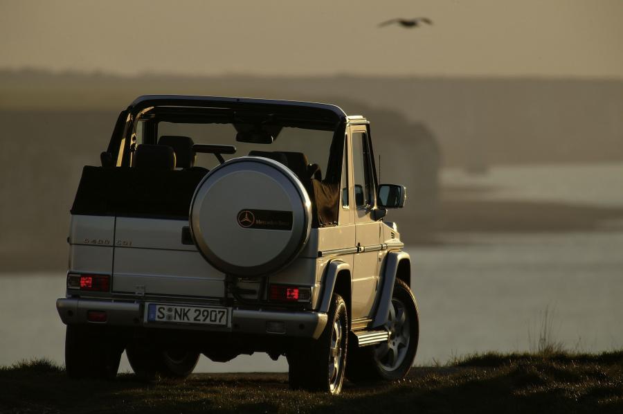  Mercedes-Benz G-Class 1990 года  (фото 56 из 260)